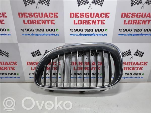 Rejilla delantera   51137027061