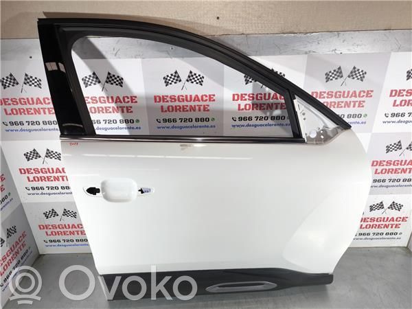 Puerta delantera   306755DB