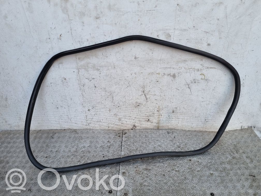 Citroen DS3 Front door rubber seal 