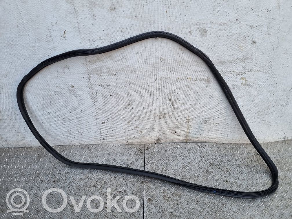 Citroen DS3 Front door rubber seal 