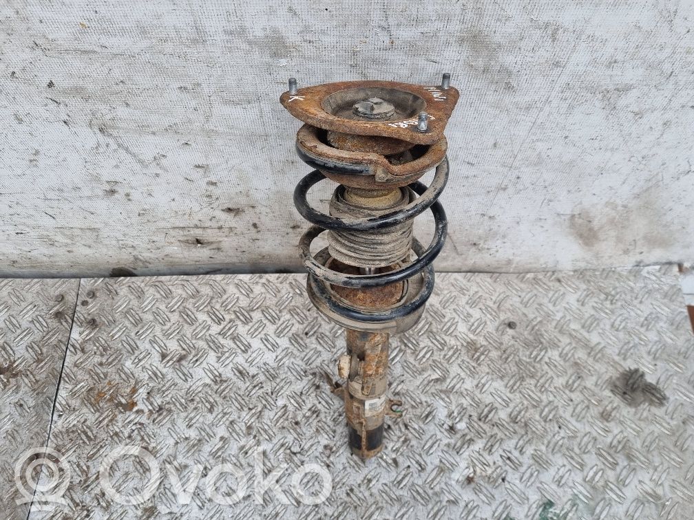 Amortyzator osi przedniej ze sprężyną   6763129,31316763129,22191281