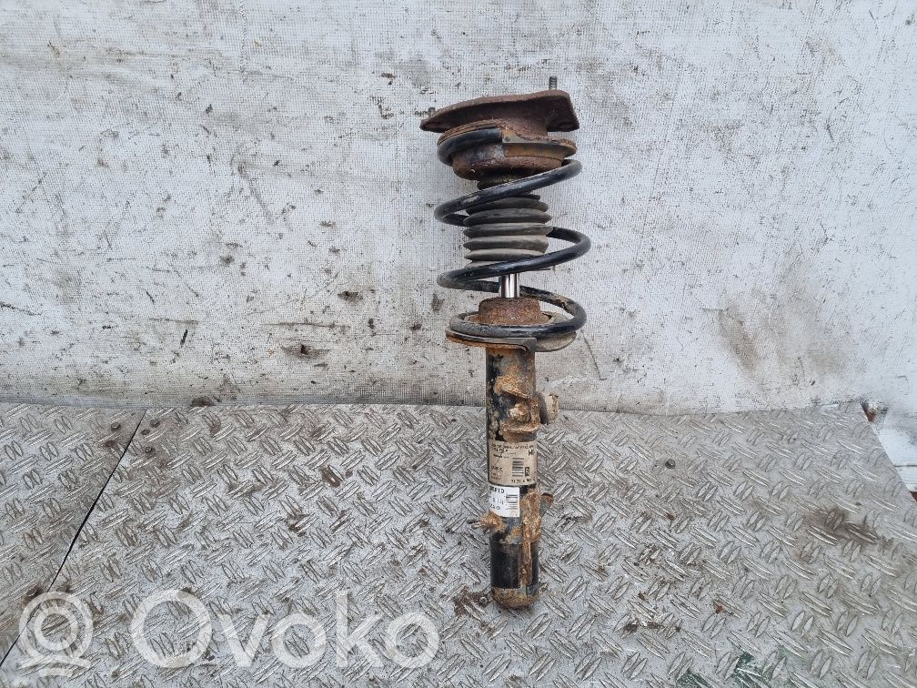 Amortyzator osi przedniej ze sprężyną   6763130,31316763130,22191350