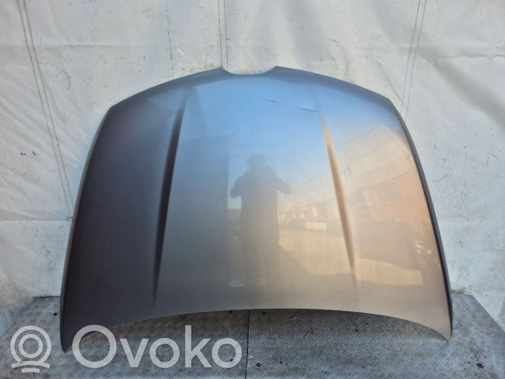 Motorhaube