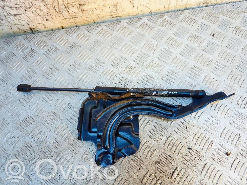 KIA Niro Engine bonnet/hood hinges 