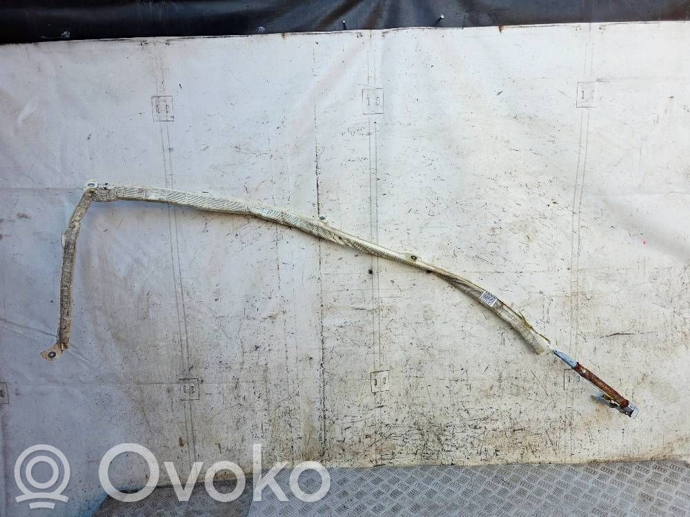 Audi A8 S8 D3 4E Jumta gaisa spilvens 