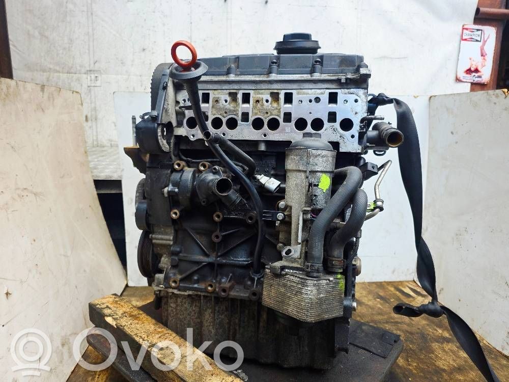 Engine   BSY,03G021AB