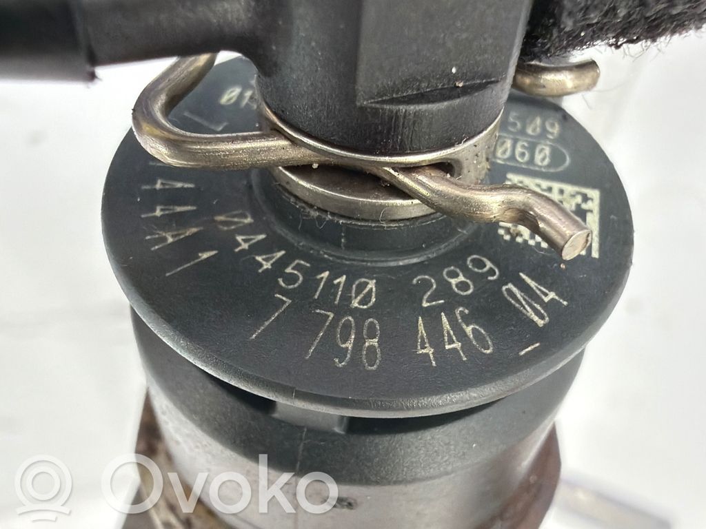 Fuel injector   7798446,04451102880