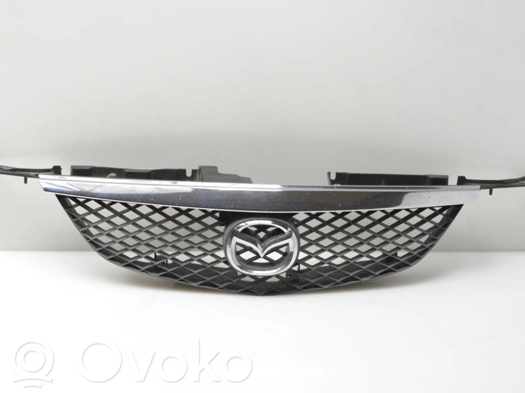 Front grill   C10050712