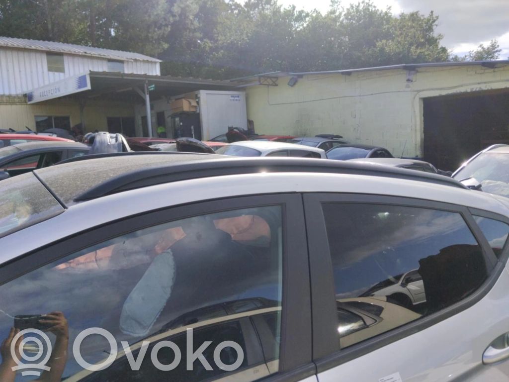 Ford Fiesta Barra del techo 