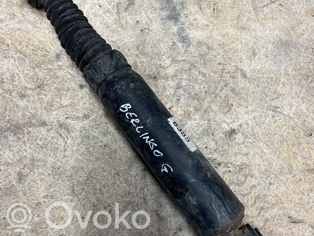 Citroen Berlingo Rear shock absorber/damper 