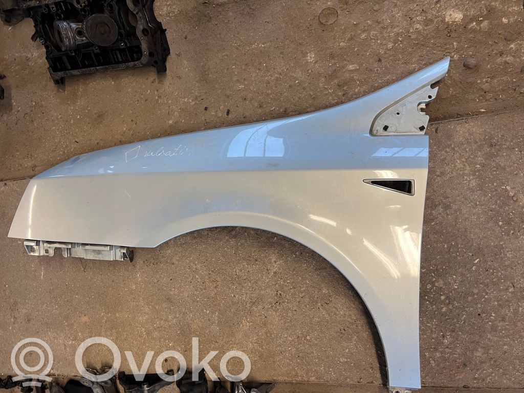 Renault Vel Satis Sparnas 