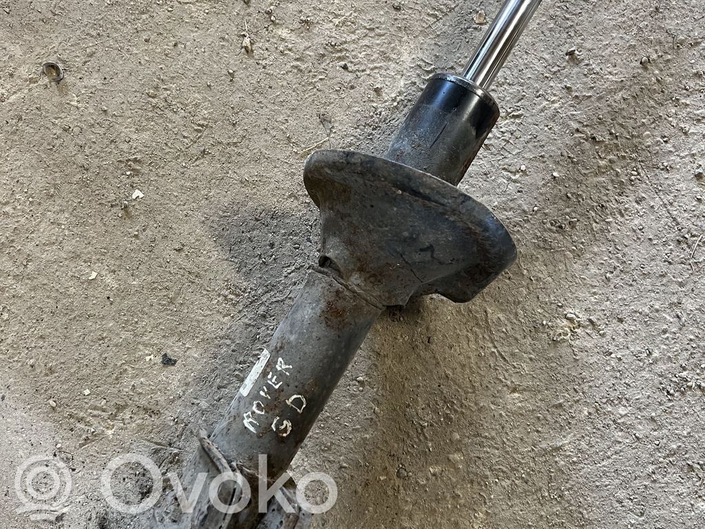 Amortyzator tylny   RPB101640