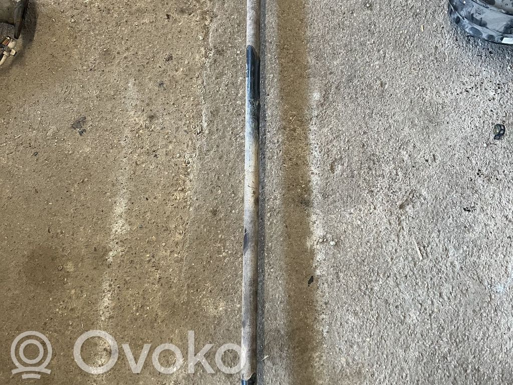 Front coil spring