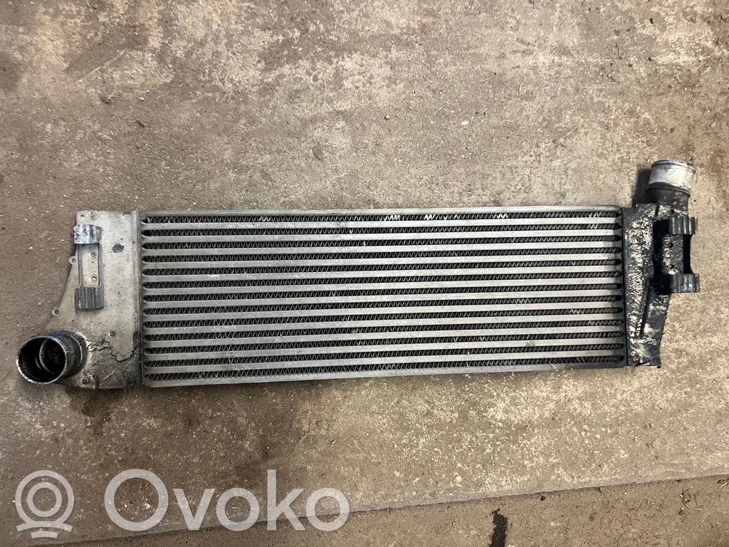 Interkūlerio radiatorius   8200115540C,8200115540