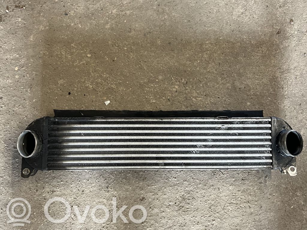 Land Rover Discovery 3 - LR3 Interkūlerio radiatorius 