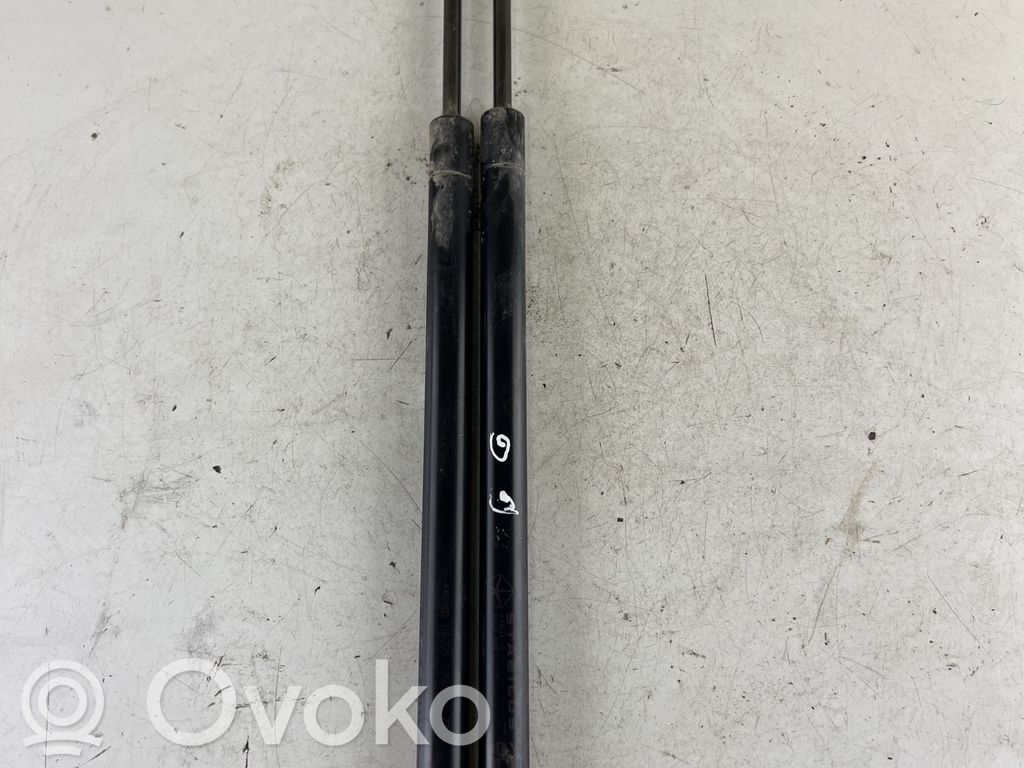 Jeep Compass Tailgate/trunk strut/damper 