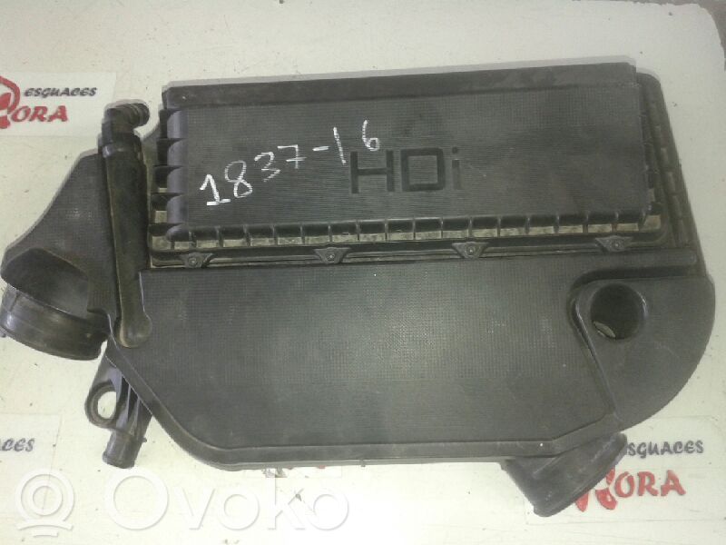 Peugeot Bipper Air filter 