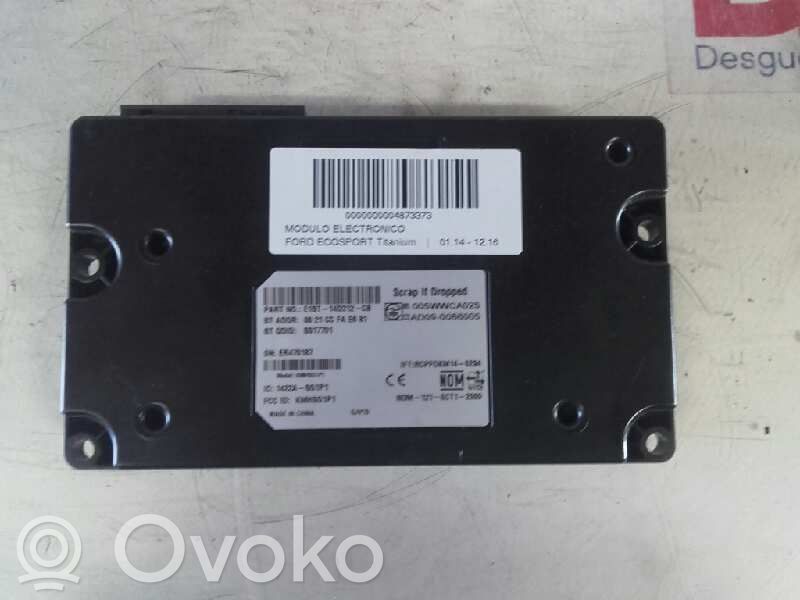 Ford Ecosport Other control units/modules 