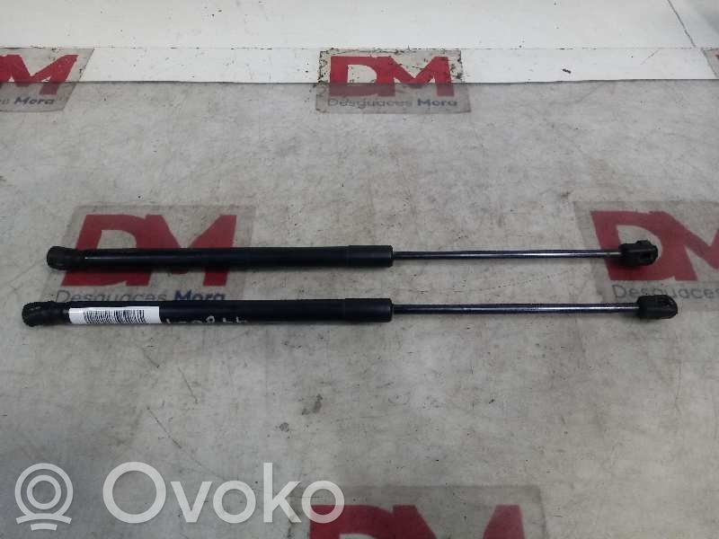 Tailgate/trunk/boot lid buffer   BOUKRAA