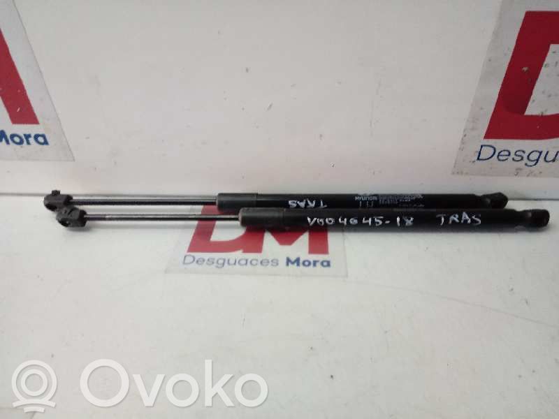 Amortiguador del maletero/compartimento de carga
