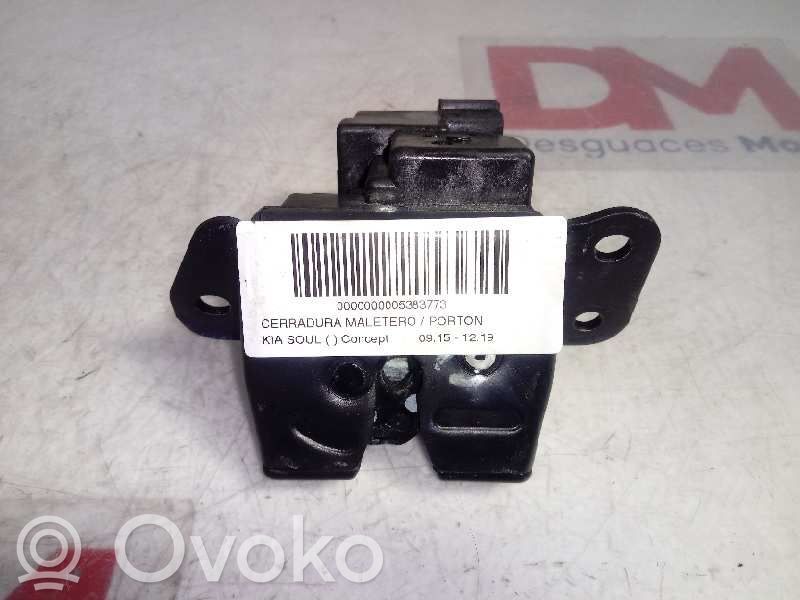 Tailgate lock latch