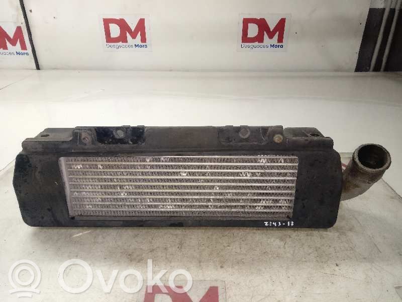 Tata Indica Vista I Chłodnica powietrza doładowującego / Intercooler 