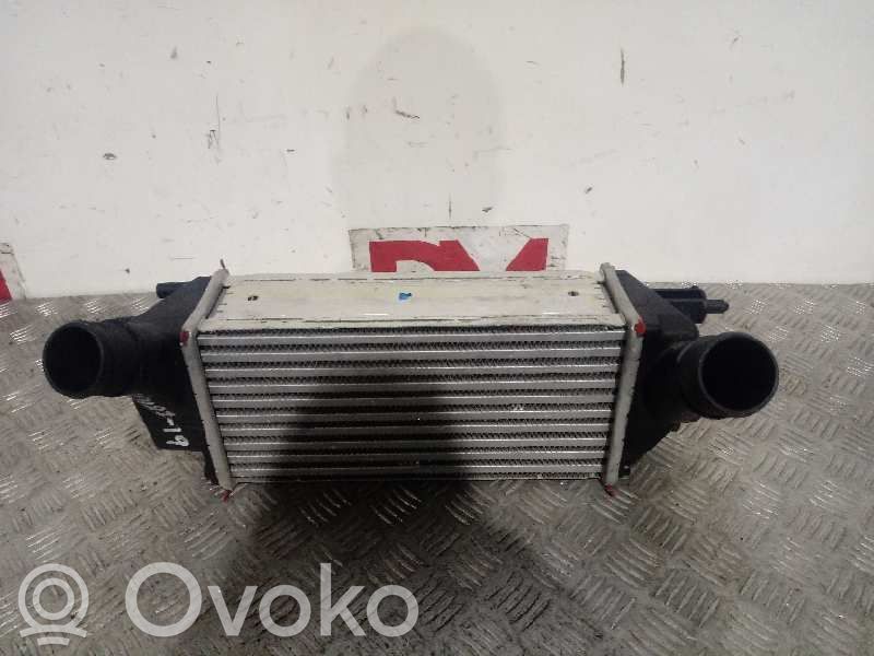 Interkūlerio radiatorius   FT766K775AA