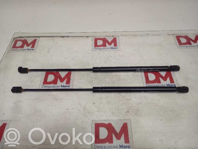 Tailgate/trunk/boot lid buffer