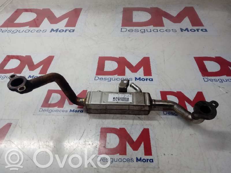 Refrigerador de la válvula EGR   J2D02520BB