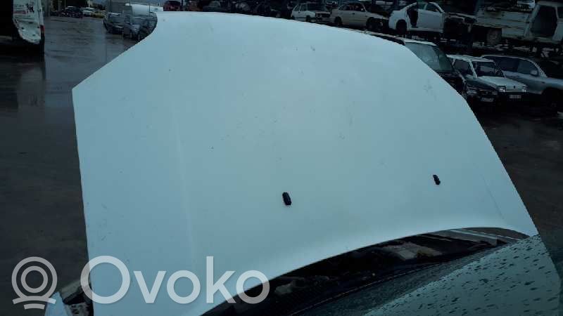 Ford Transit Dangtis variklio (kapotas) 