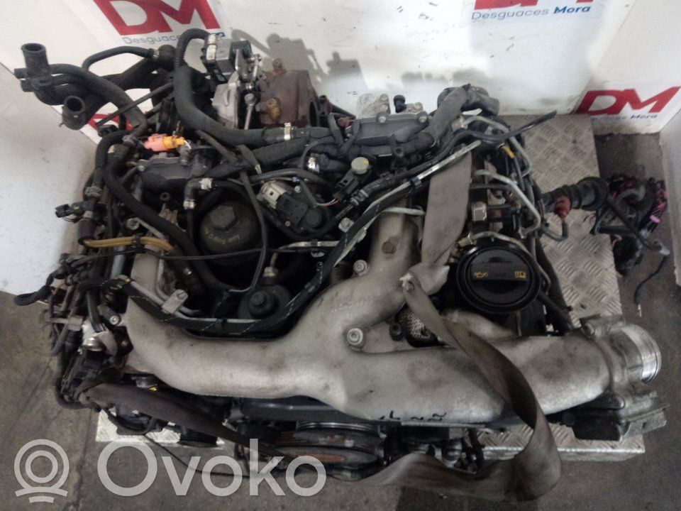 Motor   CGK