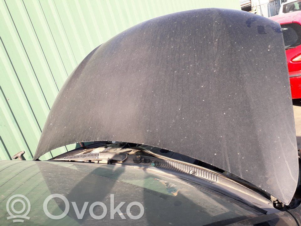 Motorhaube