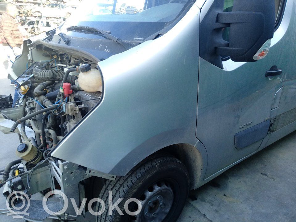 Guardabarro   631013304R