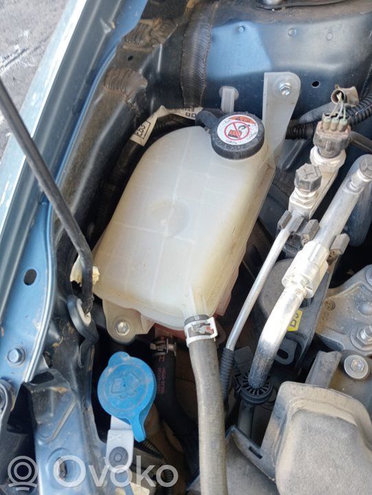 Toyota Auris E180 Vas expansiune combustibil 