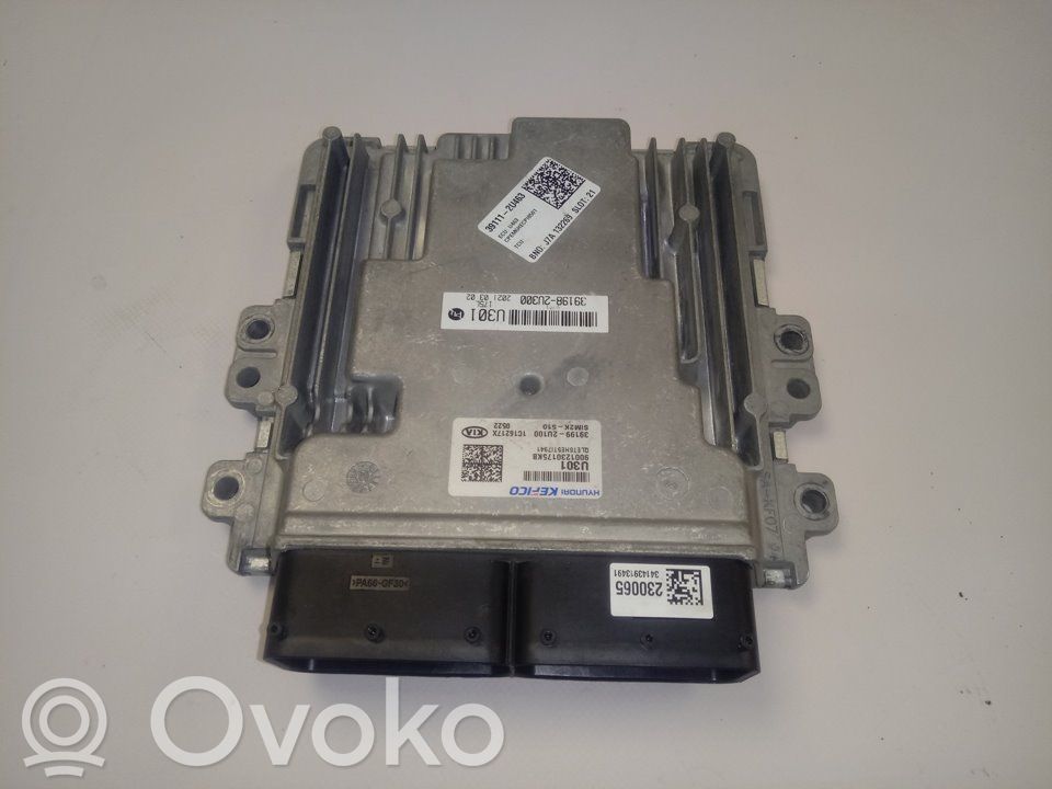 Engine control unit/module   391992U100