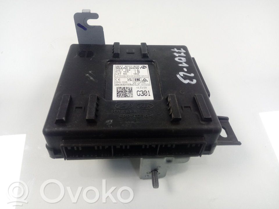 Other control units/modules   954A0G6301