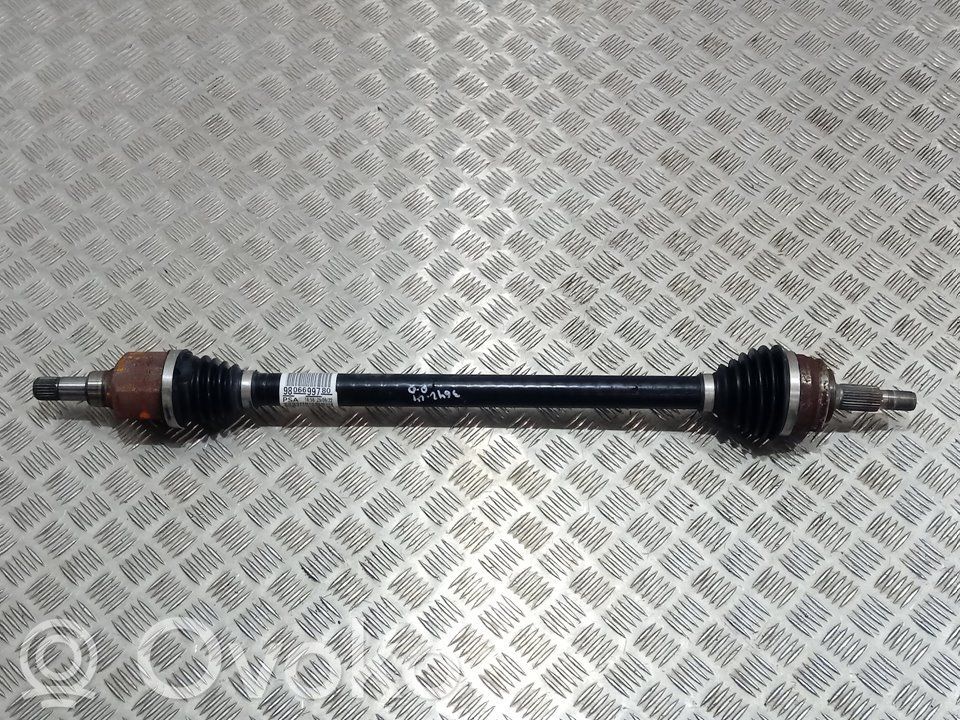 Semiasse anteriore   9806699780