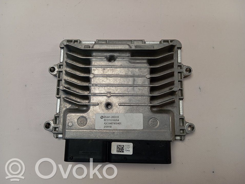 Engine control unit/module   954412BDC0