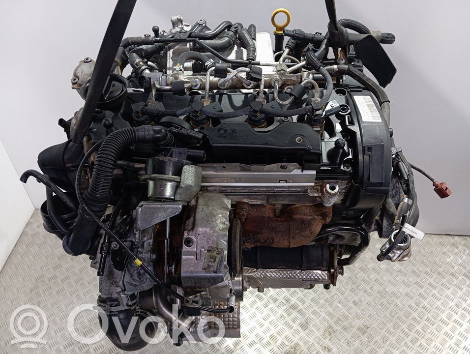 Variklis   CUV