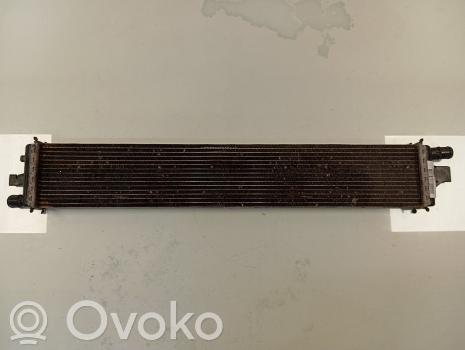 Nissan NV200 Radiatore di raffreddamento 