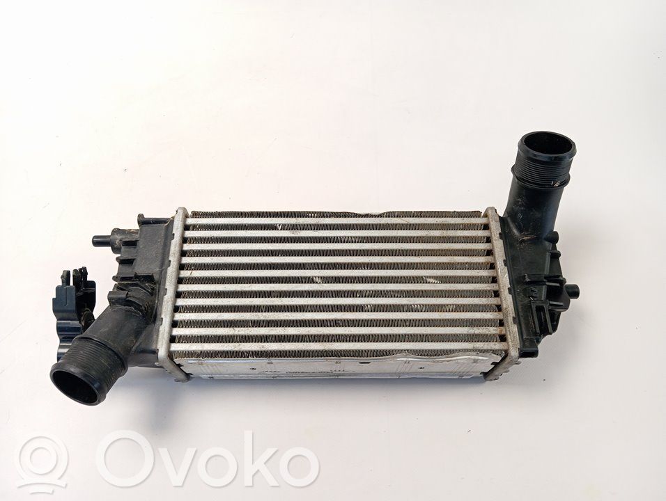 Radiador intercooler   L1BG6D624AB