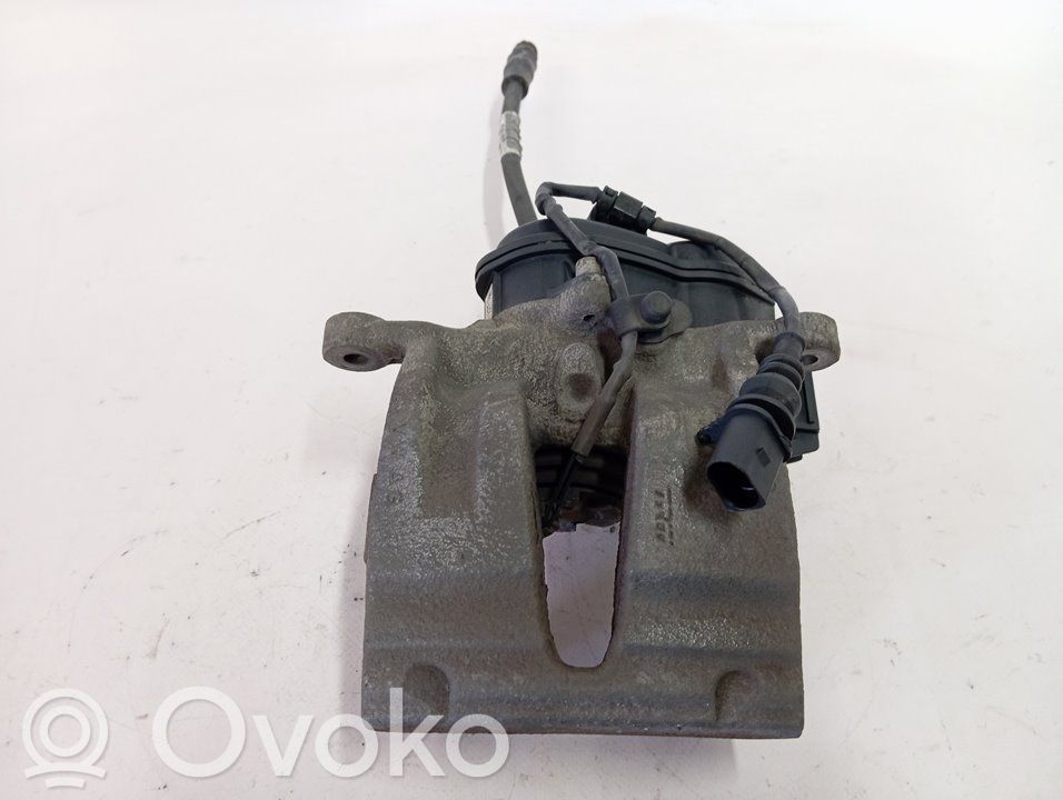 Takajarrusatula   4M0405CA