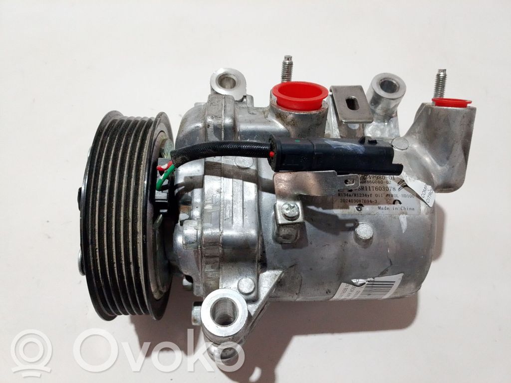 Klimakompressor Pumpe   9810349980