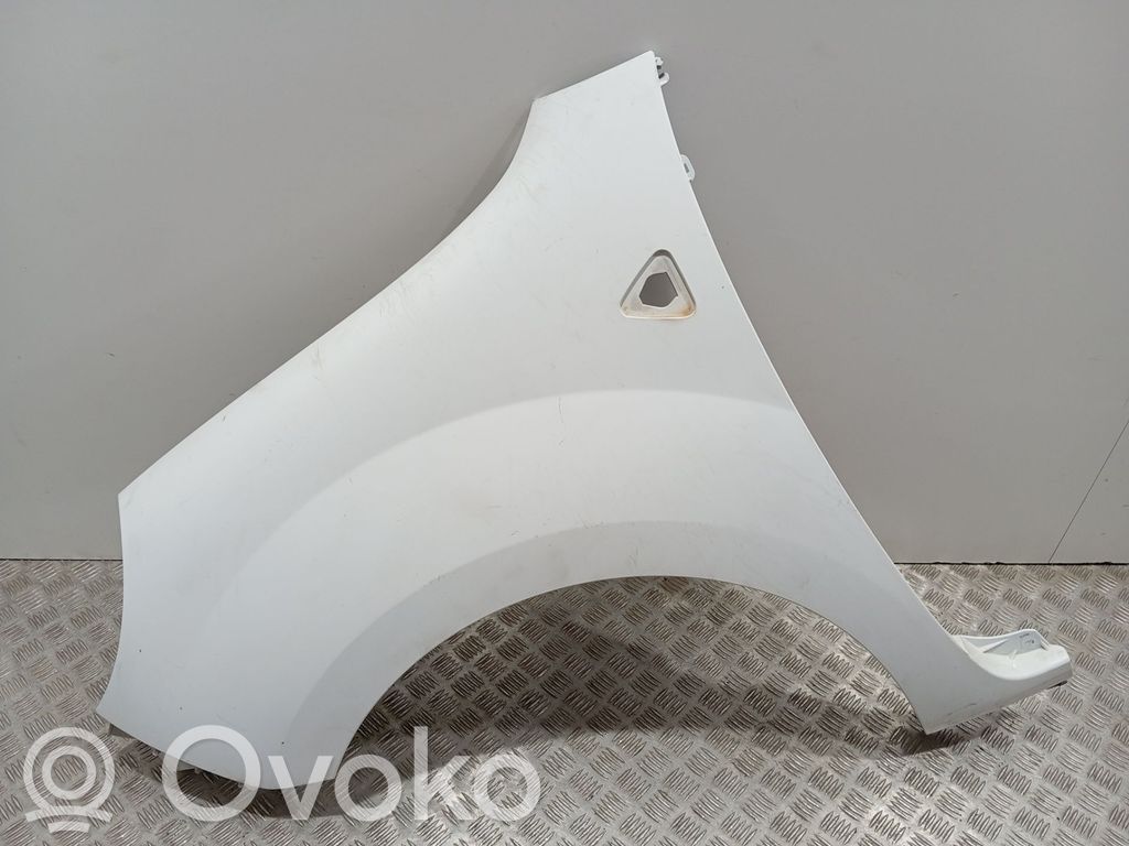 Kotflügel   631011587R