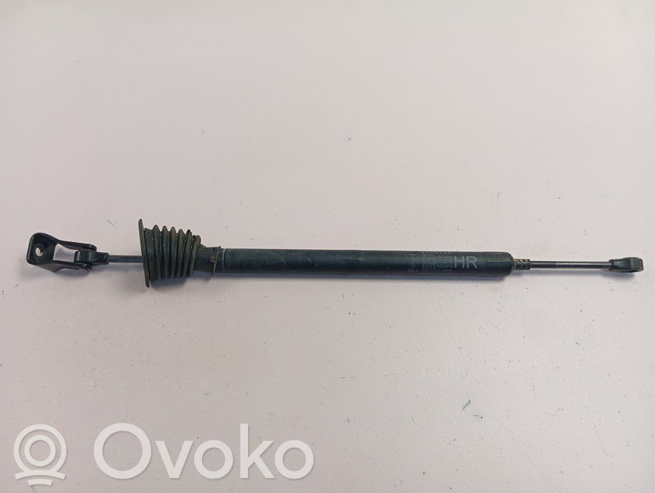 Stoßdämpfer hinten   97053615200