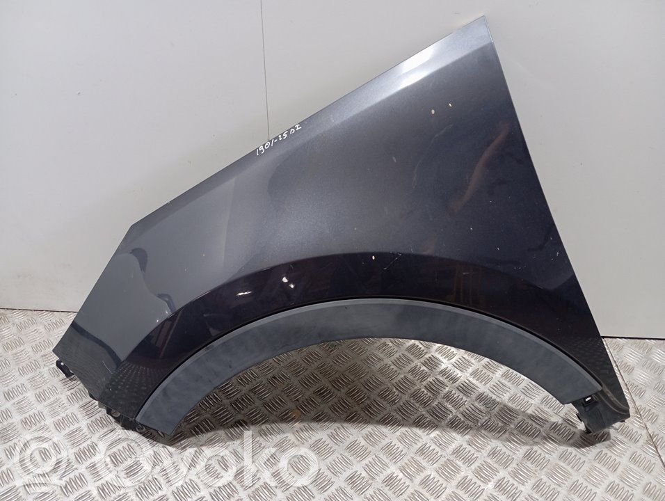 Guardabarro   663113W000