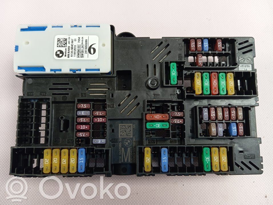 Moduł / Sterownik BSM   61355B4C4A7,61145A87060