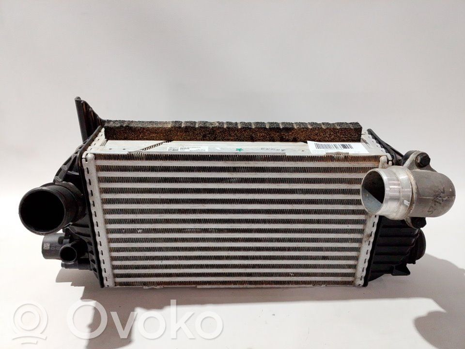 Radiator intercooler   282702M800