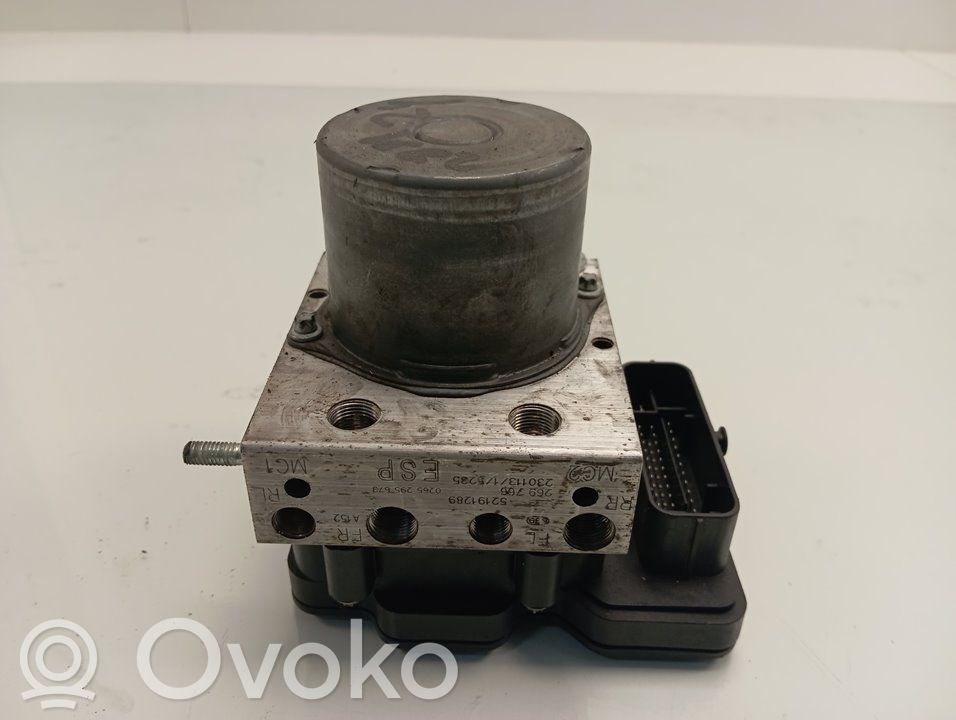 Peugeot Boxer ABS bloks 