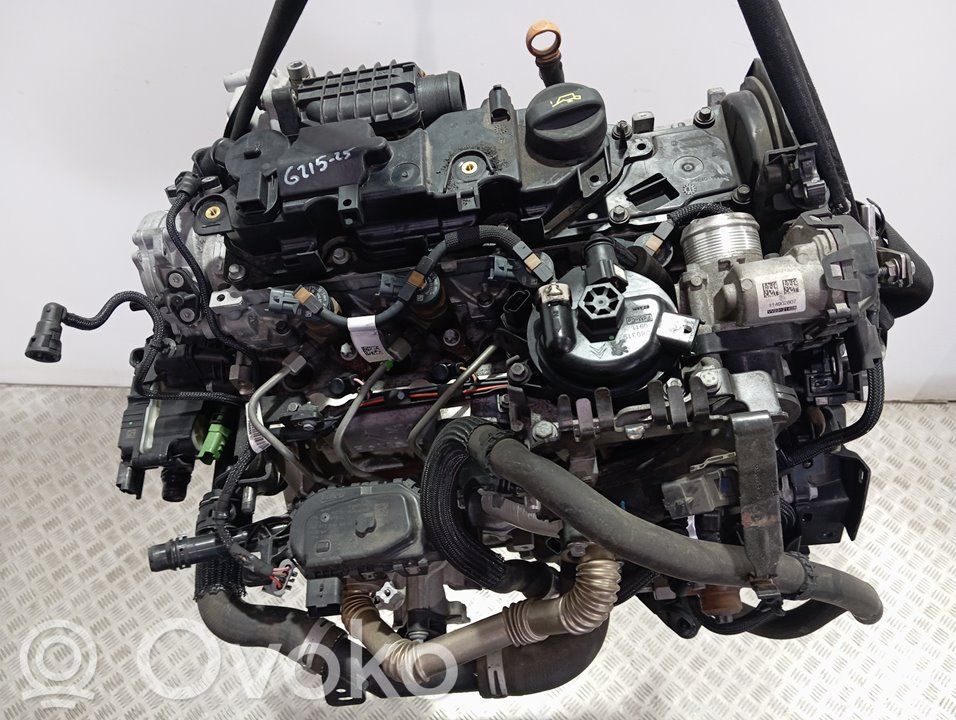 Engine   BH02,0135SW